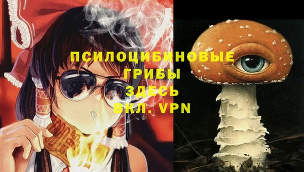 крисы Кинешма