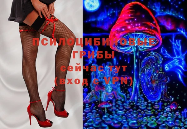 крисы Кинешма